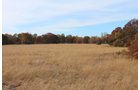 Tract 11 - OKLAHOMA LAND & REAL ESTATE AUCTION, 438 +/- Acres offered in 13 Tracts